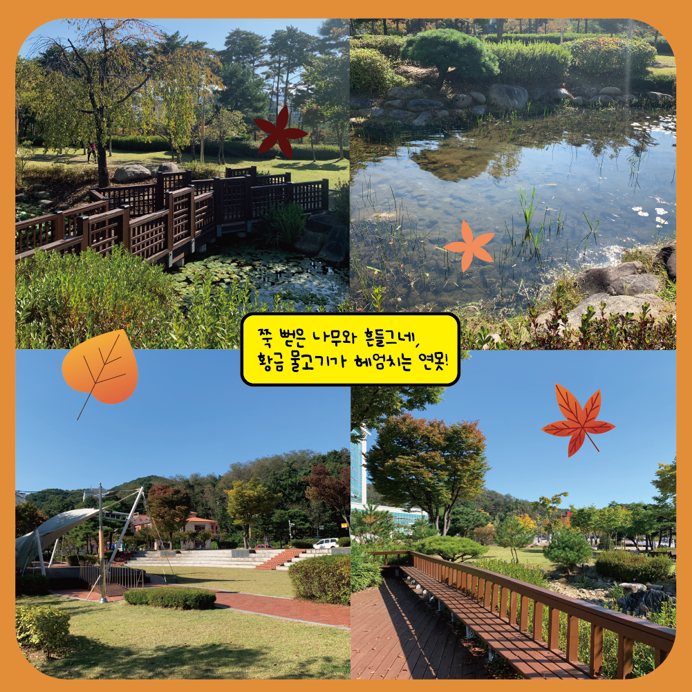 ﻿원주 시내에서 즐기는 단풍놀이 ::: 원주 남산공원 | 일산공원 | 이화(새마음)공원 | 원주시청공원 ﻿